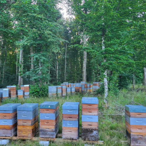 Ruche dadant 10c complète